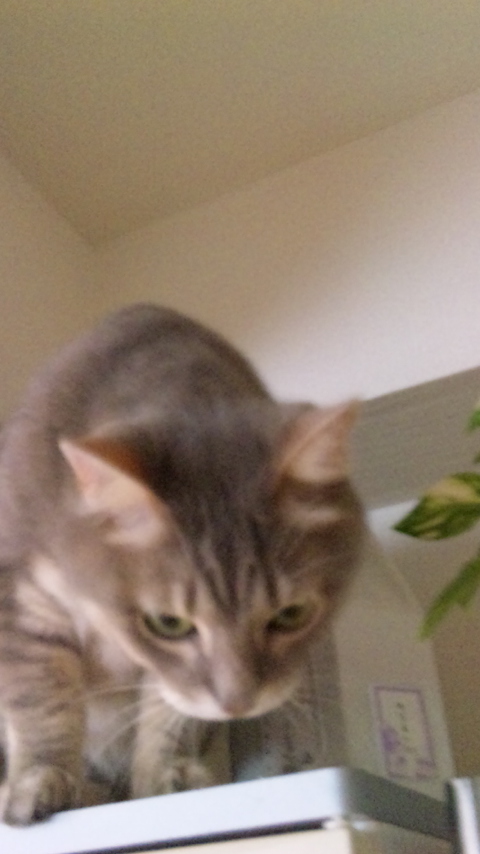 c0180885_1281651.jpg