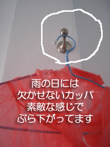 カッパくらいなら!_f0144385_1652366.jpg