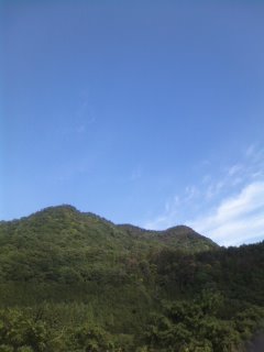 朝市_a0165286_11153428.jpg