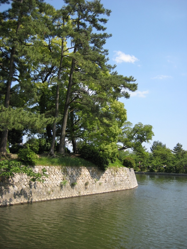 c0013687_237845.jpg