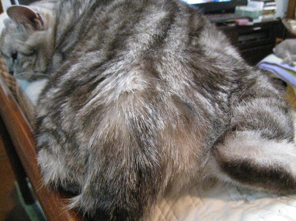 c0132387_0313522.jpg