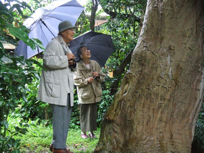 雨にも負けず♪_e0028387_17852.jpg