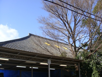 京大西部講堂_d0106888_0131968.jpg