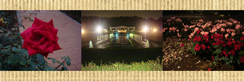 神代植物公園 (調布市)_d0132289_13122618.jpg