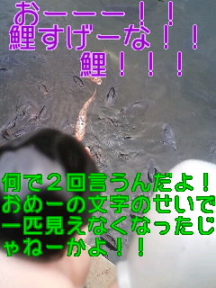 f0236990_20524875.jpg