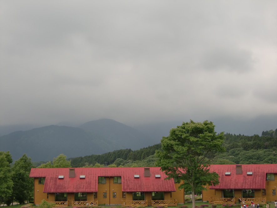 b0029694_82247.jpg