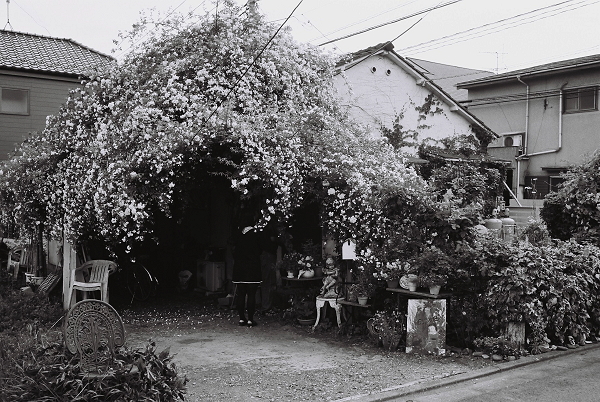 c0214494_23532241.jpg