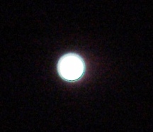 b0124999_04426.jpg