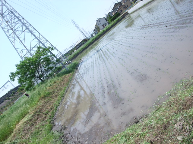 c0183801_18332230.jpg
