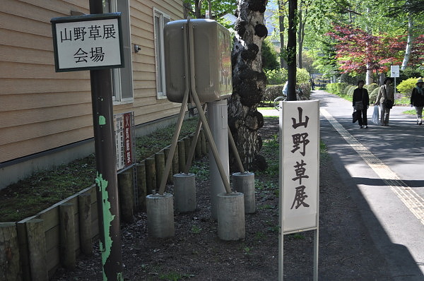 中島公園散策_d0026802_11451169.jpg