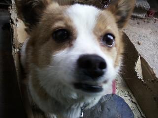 e0010302_1112134.jpg