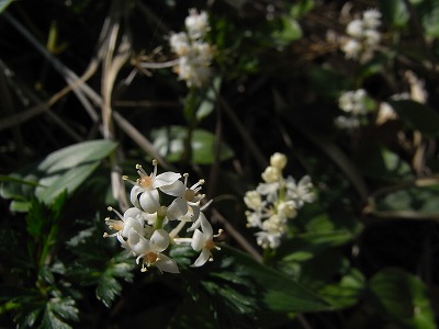 f0187402_22512659.jpg
