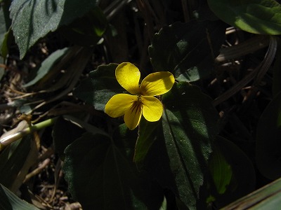 f0187402_22514375.jpg