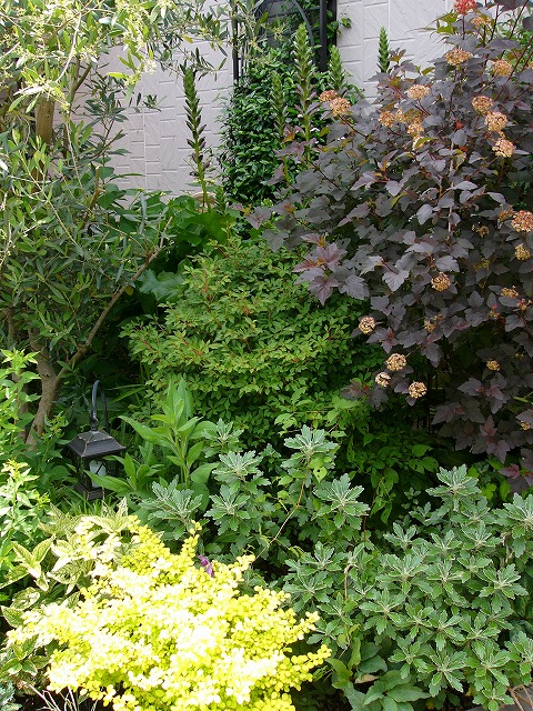 a0123003_20281298.jpg