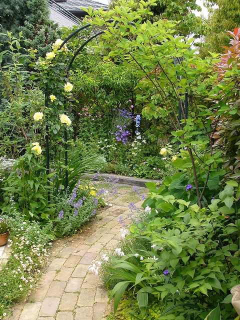 a0123003_21132516.jpg
