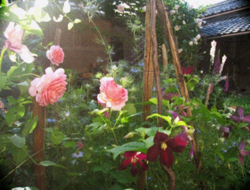 d0077603_8504956.jpg