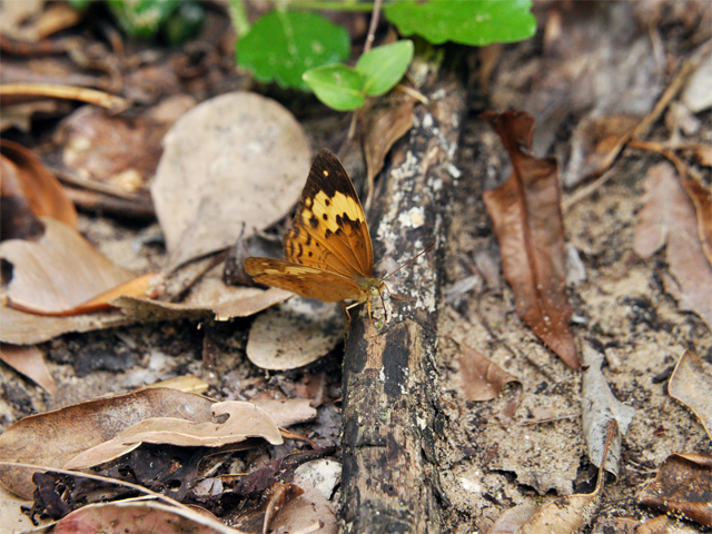 b0159904_22304159.jpg