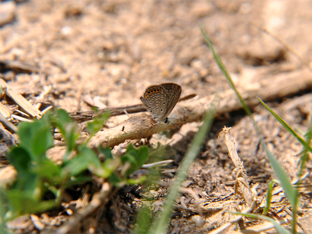 b0159904_22422918.jpg
