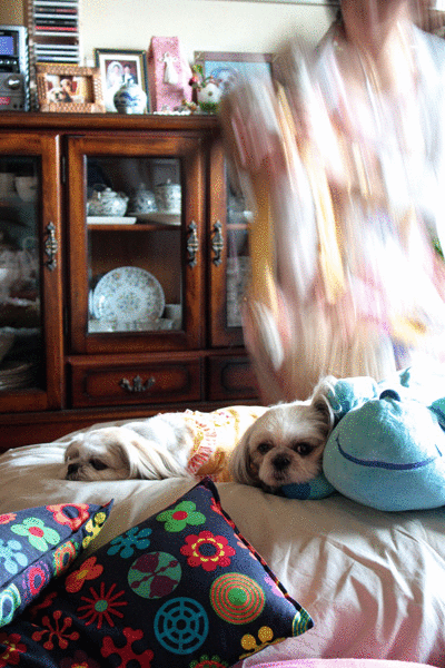 c0011204_23292620.gif