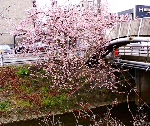 c0228404_1217456.jpg