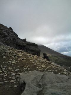 e0028904_17473075.jpg