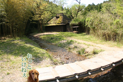 e0072606_2144827.jpg