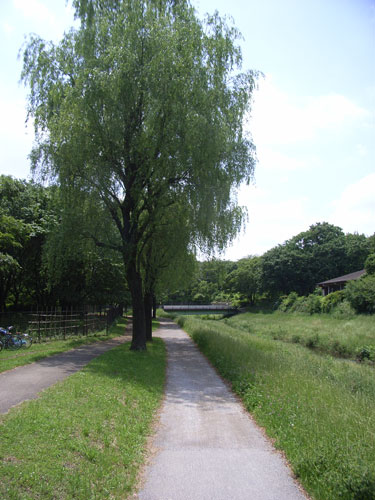 春のスケッチ会 野川公園2010年5月31日(月)_b0129807_16474957.jpg