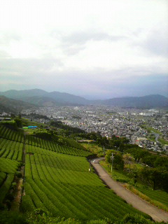 f0238707_225225.jpg