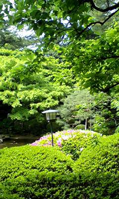 b0061310_23564269.jpg