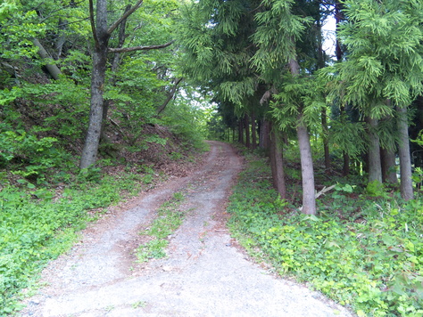e0015011_20504115.jpg