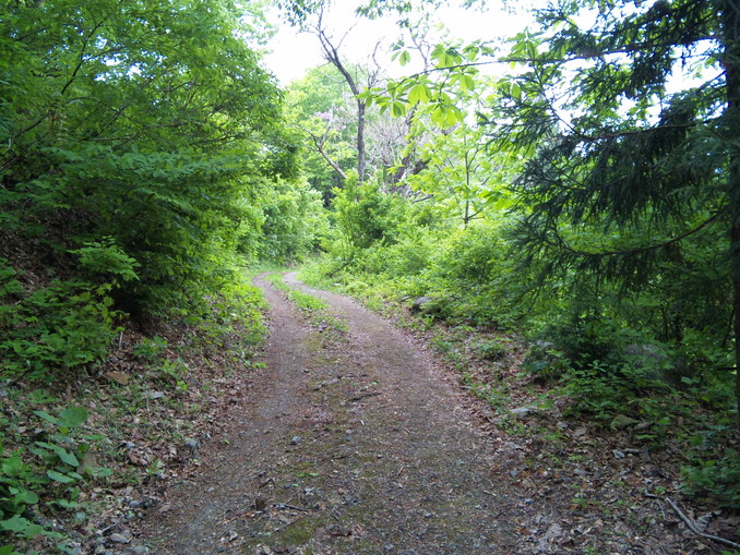 e0015011_20525888.jpg