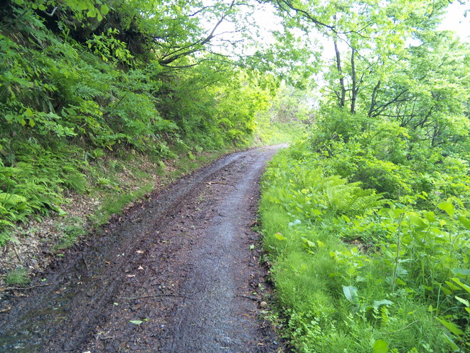 e0015011_20541432.jpg