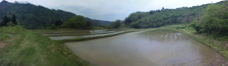 e0015011_20555453.jpg