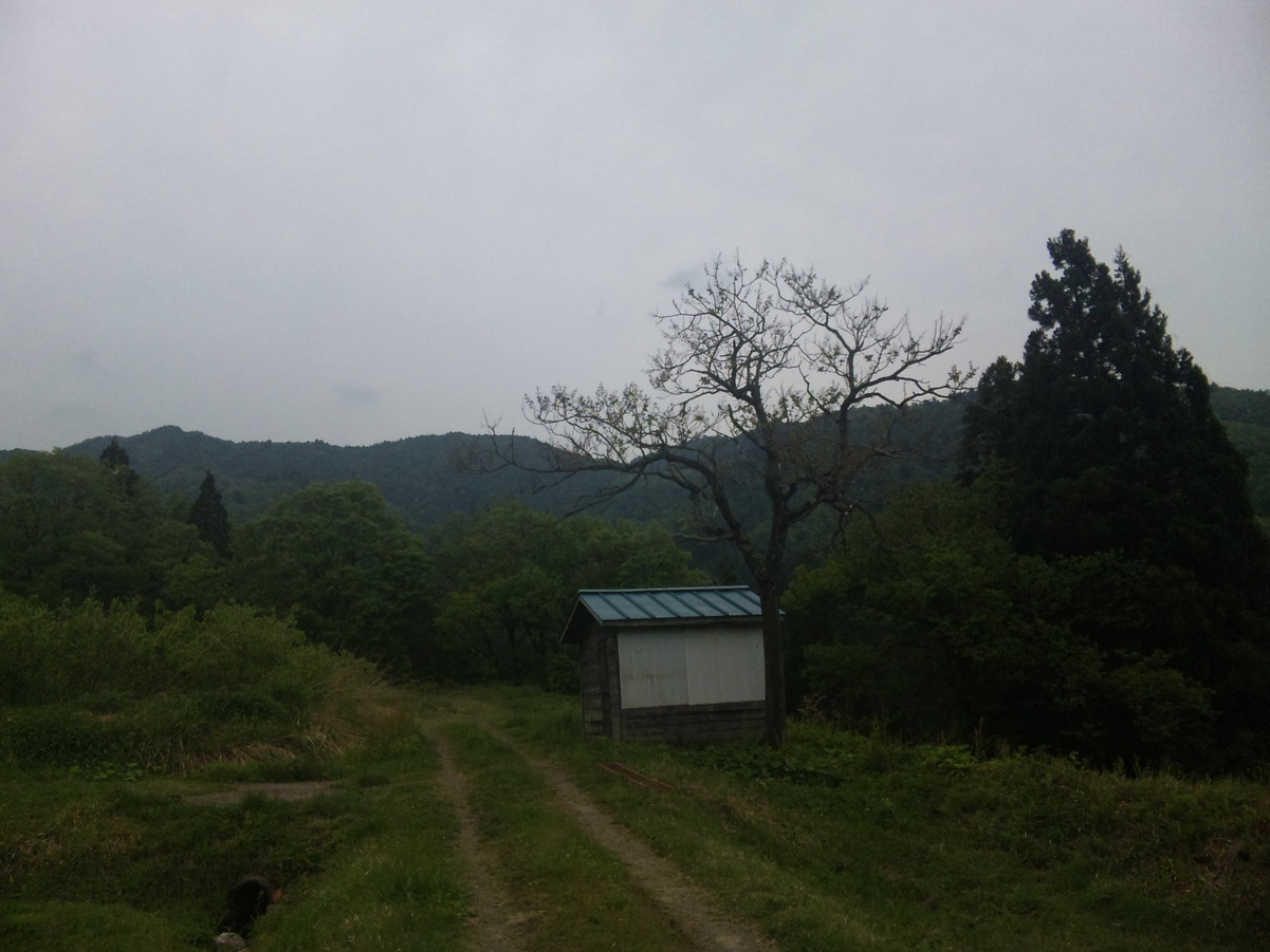 e0015011_213380.jpg