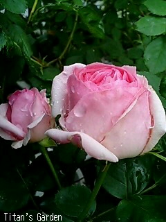 b0099813_133326.jpg