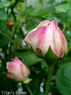 b0099813_13335.jpg