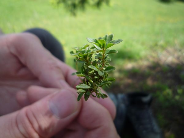 c0167813_5113945.jpg