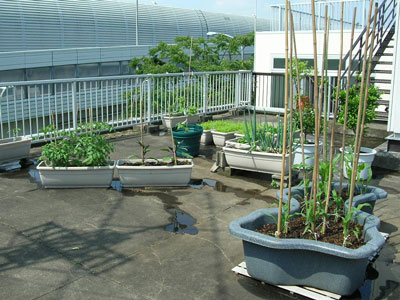 d0163915_15174175.jpg