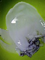 e0114015_1850489.jpg