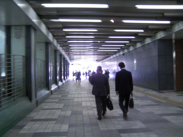 c0083518_1617986.jpg