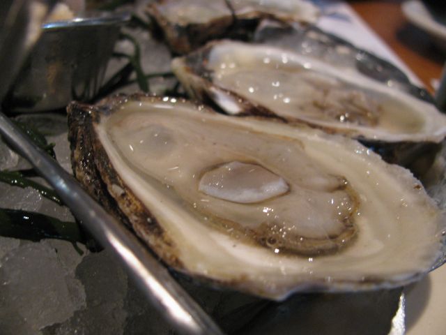 Boston Legal Seafoods_e0101819_11315537.jpg