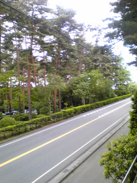 伊那食品工業さんへ行ってきました ^ ^_a0152724_1532668.jpg