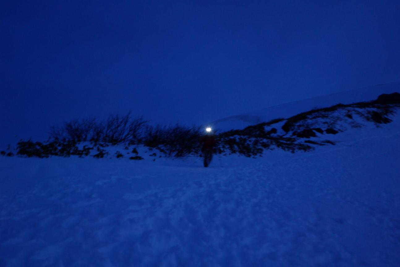 b0062024_6555721.jpg