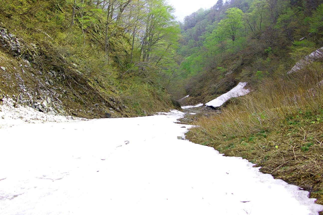 b0062024_7122541.jpg