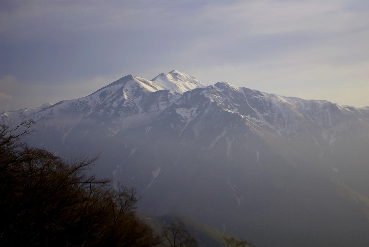 b0062024_784612.jpg