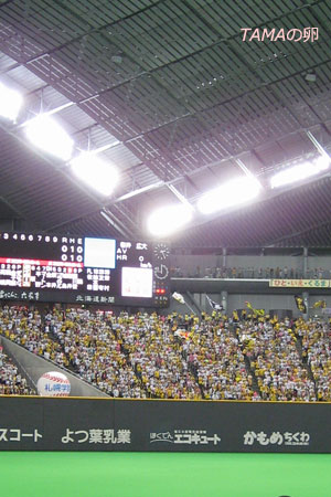 c0024729_21232888.jpg