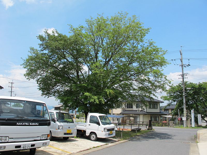 ユーモアのセンスと根の大切さ_f0076731_1326821.jpg