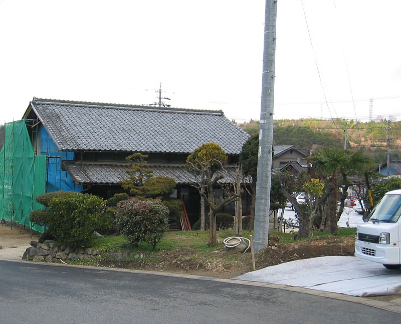 ユーモアのセンスと根の大切さ_f0076731_132861.jpg