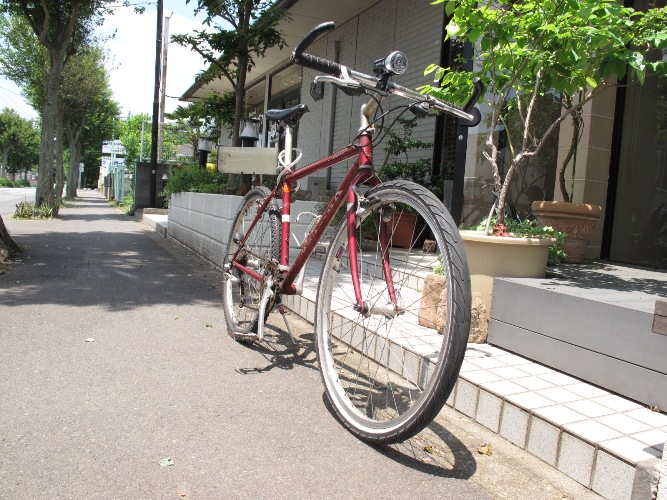 f0213332_1125132.jpg