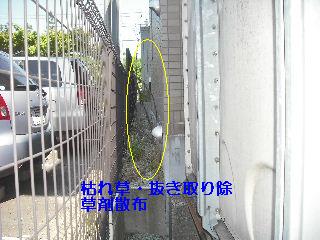 見積もりと現場下見_f0031037_2219873.jpg